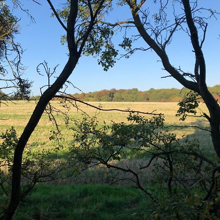 Old Hunters Lodge Whipsnade Limited Dış mekan fotoğraf