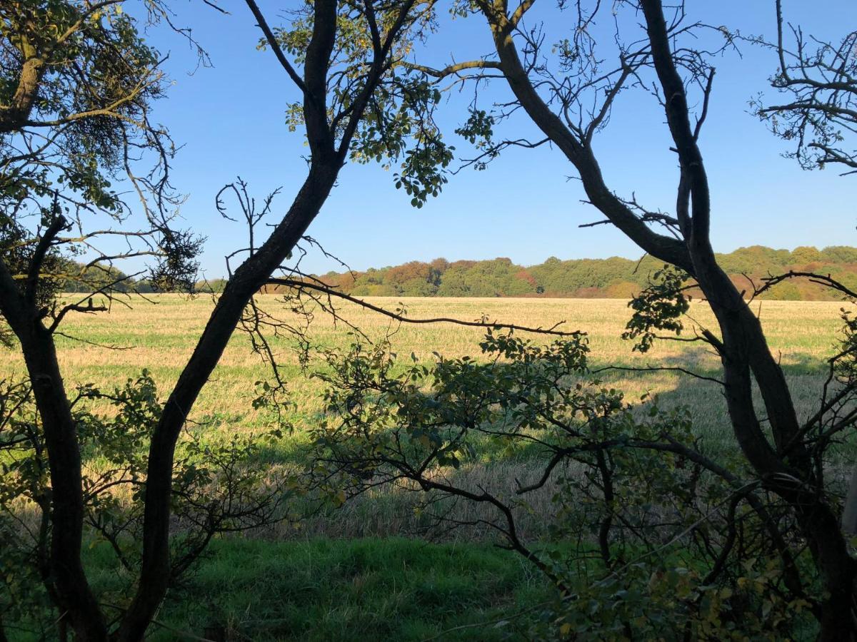 Old Hunters Lodge Whipsnade Limited Dış mekan fotoğraf